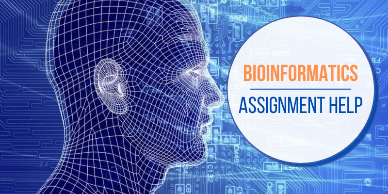 Bioinformatics assignment help