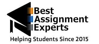 best assignment experts logo