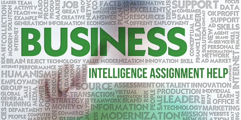 Business intelligence assignment help