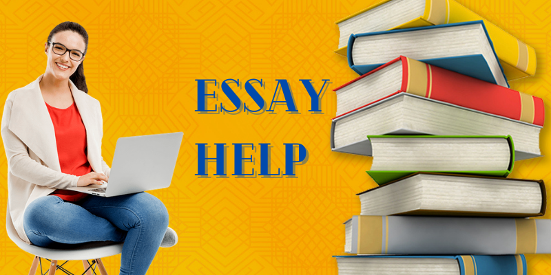 essay help writer