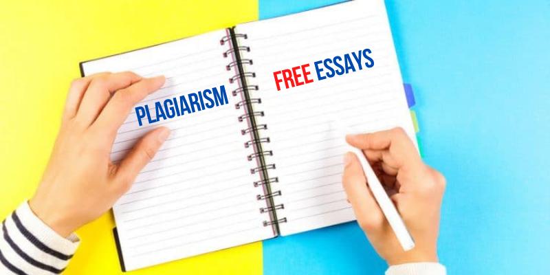 Plagiarism Free Essays