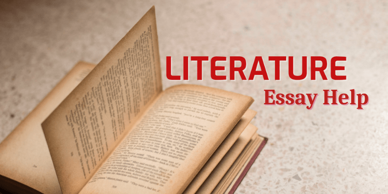 literature essay help